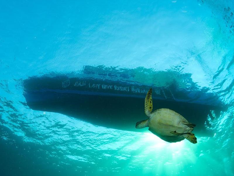 Raja Laut Dive Resort 부나켄 외부 사진